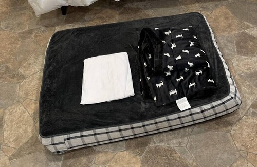 New Pekin House | Tiny home with a cabin feel