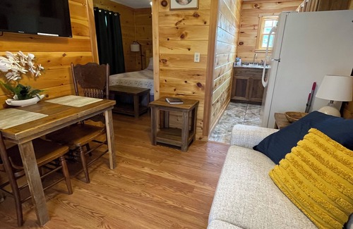 Sevierville House | Tiny house and tiny horses