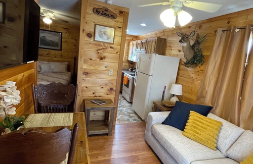 Sevierville House | Tiny house and tiny horses