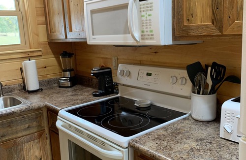 Sevierville House | Tiny house and tiny horses