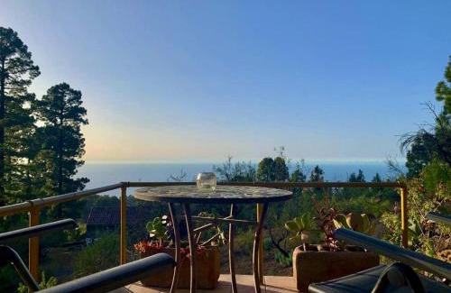 Garafia House | Tiny House Vogelnest