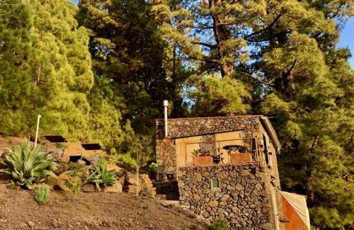 Garafia House | Tiny House Vogelnest