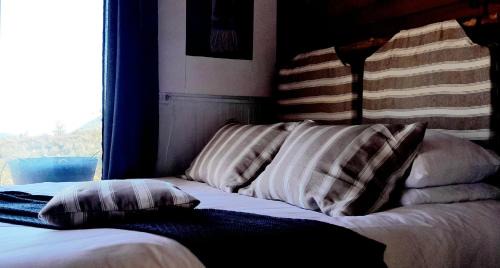 San Esteban House | Tiny Kiki San Francisco