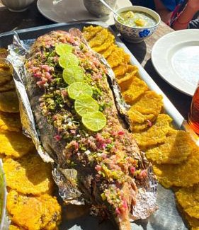 Bocachica House | Tipiland baru la casa del mono