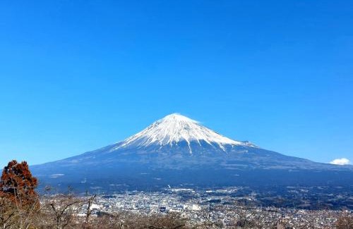 Kofu Hotel | Tokiwa Hotel