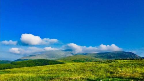 Newry Cabin | Tollymore Luxury log cabins