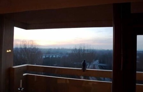 Eckernfeld Apartment | Top apartment, 8th floor, view over harbor and city