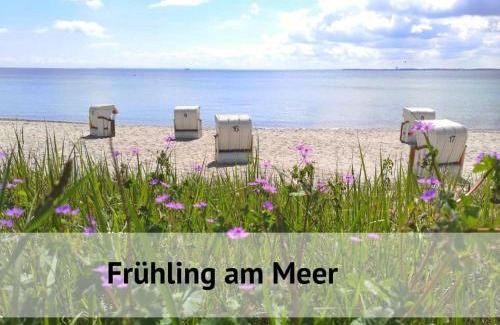 Timmendorfer Strand Apartment | Top - Apartment mit Aussicht