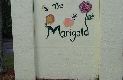 DeLand Apartment | Top floor of Victorian, 2/2, near Stetson, sky diving, springs, river, beaches