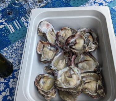 Vleesbaai House | Tornyntjie Beach House