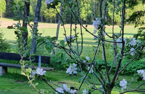 Hammar House | Torpet Gårdsvägen