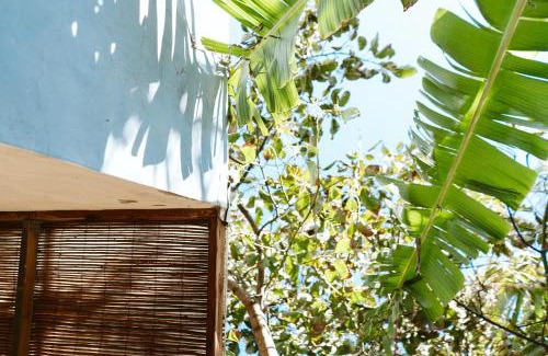 Arucas House | Tortuga blue house in banana plantation