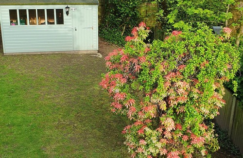 Bolton Apartment | Totally private apartment in family setting, not shared