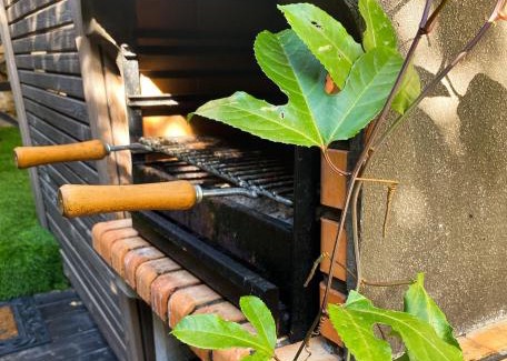 Shlomi Cabin | Touch of Rose