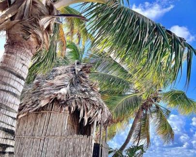 San Francisco Apartment | Traditional Cabin on Aroma Island