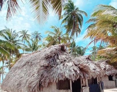 San Francisco Apartment | Traditional Cabin on Aroma Island