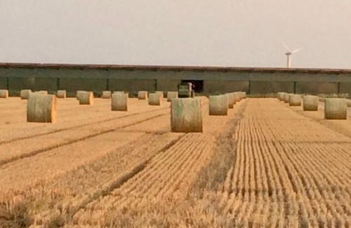 Thalingburen House | Traumwagen an der Mühle