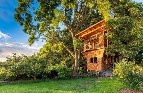 Meerut House | travoyoga