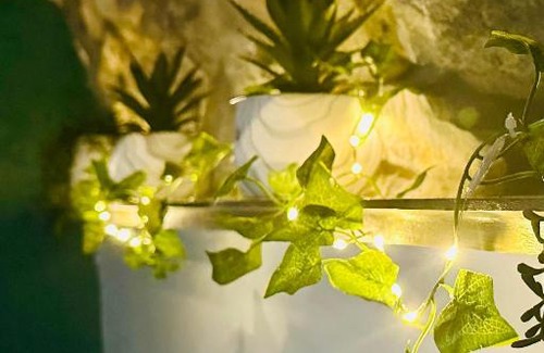 Trawsfynydd House | Trawsfynydd Stone Cottage