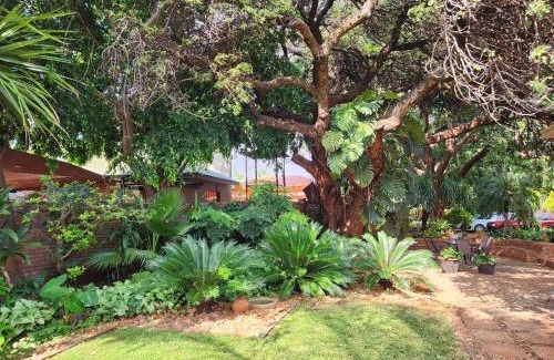 Mokopane House | Tree Aloe Guest House