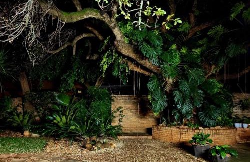 Mokopane House | Tree Aloe Guest House