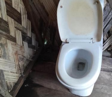 Tanna Island Hotel | Tree Home Adventure