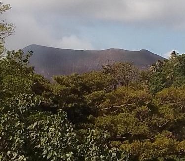 Tanna Island Hotel | Tree Home Adventure