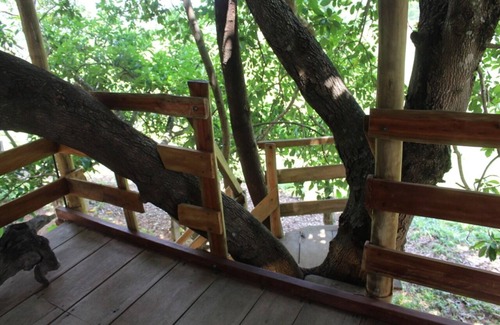 Pirenopolis Cottage | Tree House (Acácia Tree House)