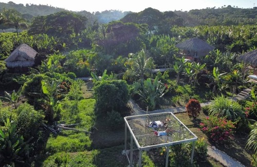 El Limon House | Tree house in the Dominican jungle