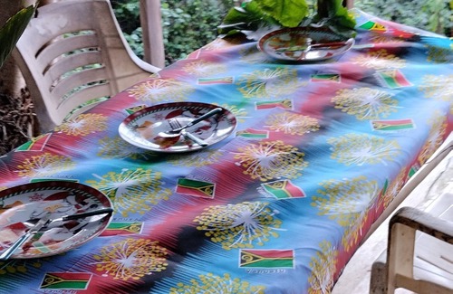 Isangel Apartment | Tree House