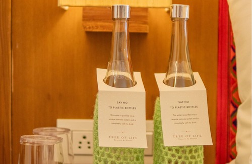 Naggar Hotel | Tree of Life Eila Art Hotel