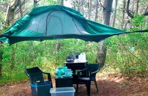 Dranske Apartment | Tree tent Ostseebreeze - Category 1 No. 8 - Ferienpark Bakenberg