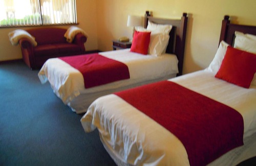 Walpole Hotel | Tree Top Walk Motel