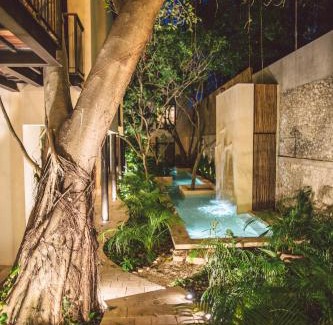 Zona Paseo Montejo Hotel | TreeHouse Boutique Hotel, an adults only boutique hotel