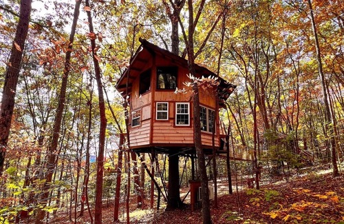 Copperhill Cabin | Treehouse w/Full Disc Golf Course~Dog Friendly