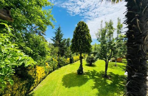 Karaburun Koyu Hotel | Treekos Suite Hotel Istanbul Airport