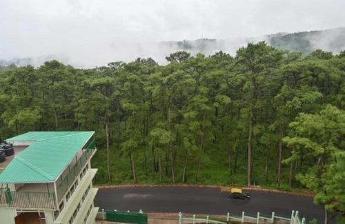 Shillong Hotel | TreeTops Residency