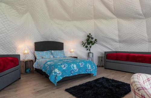 Fishguard Other | Tregroes Glamping Geodomes