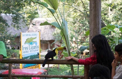 Lacanja House | Tres Lagunas, Selva Lacandona