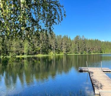 Torsby House | Tretoppen - Ny moderne hytte, Unike Finnskogen