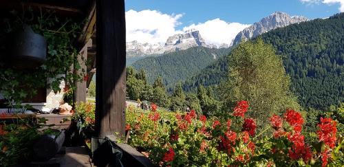 Sant'Antonio di Mavignola Apartment | Trilocale Maso Palù - Serafini