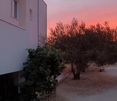 Trogir Apartment | Trogir apartment disability-friendly with free parking