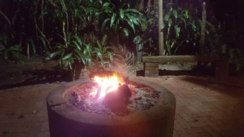 Shelly Beach House | Tropical Beach Boutique Guesthouse