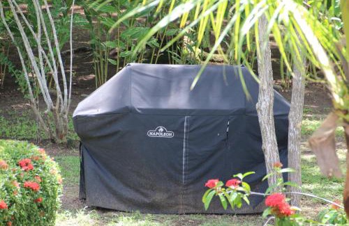 Damas Apartment | Tropical Bliss Pool Wi-Fi BBQ Near Quepos Manuel Antonio