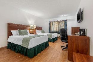 Saltillo Hotel | Tru by Hilton Saltillo