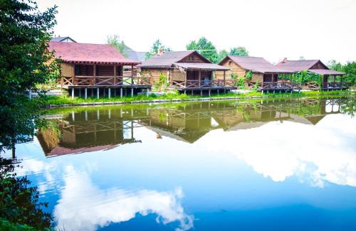 Lviv Oblast Resort | Tsisarske Urochyshe