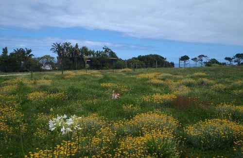 Robbehoek Ski Chalet | Tsitsikamma on Sea Self-catering Cottages