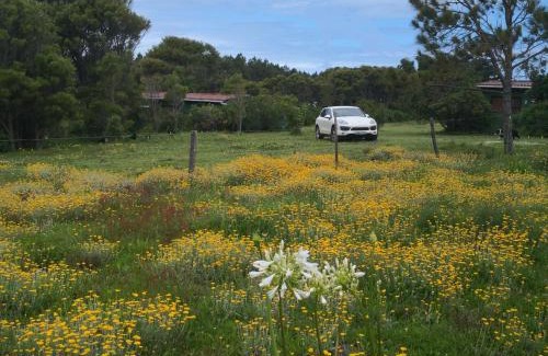 Robbehoek Ski Chalet | Tsitsikamma on Sea Self-catering Cottages
