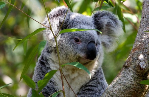 Tulka House | Tulka House