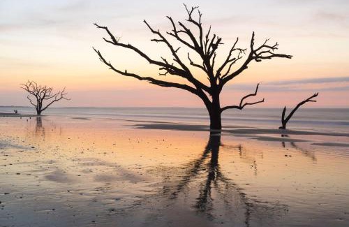 Folly Beach House | Turn of River Condo